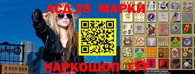 индика Кулебаки
