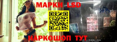 индика Кулебаки