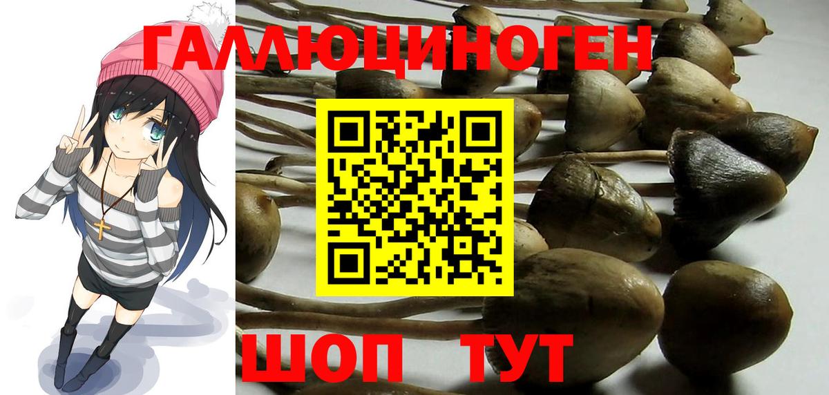 Галлюциногенные грибы мухоморы  продажа наркотиков  Вход с VPN  Воркута  Псилоцибиновые грибы ЛСД 