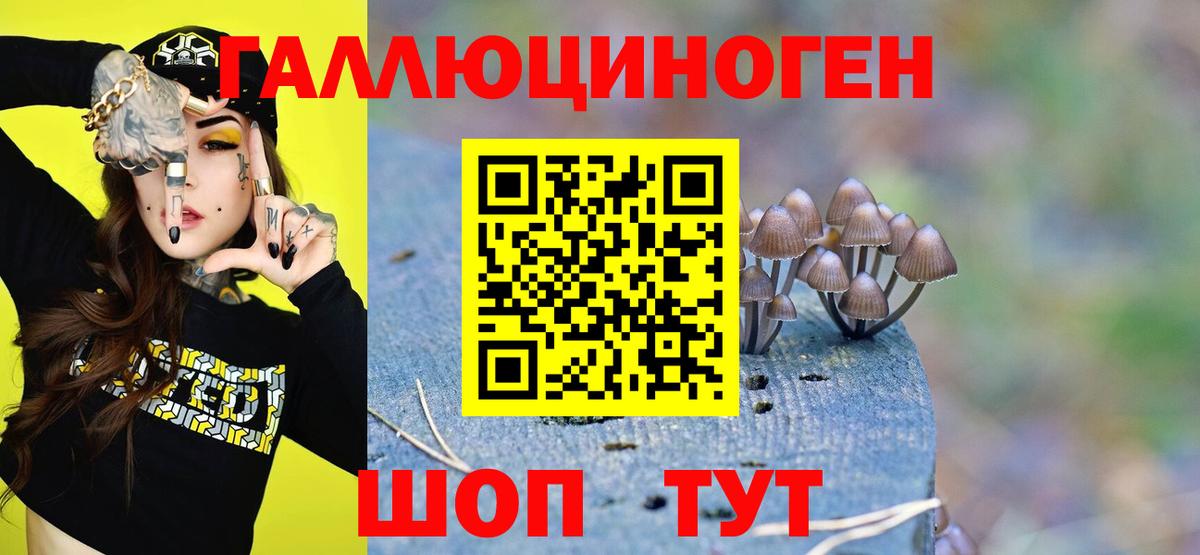 Псилоцибиновые грибы Cubensis Воркута
